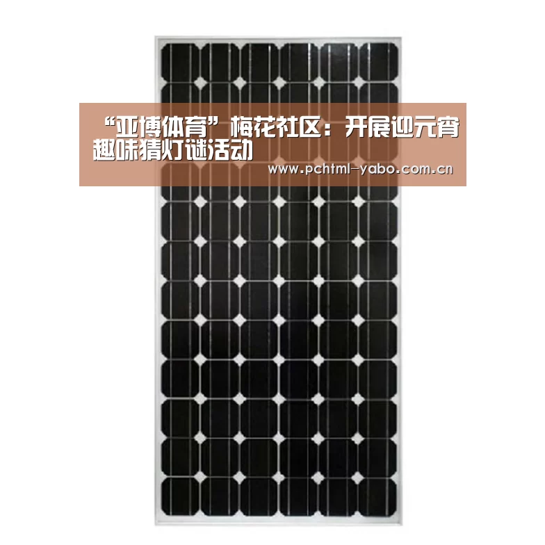 “亚博体育”梅花社区:开展迎元宵趣味猜灯谜活动(图2) “亚博体育”梅花社区:开展迎元宵趣味猜灯谜活动(图2)