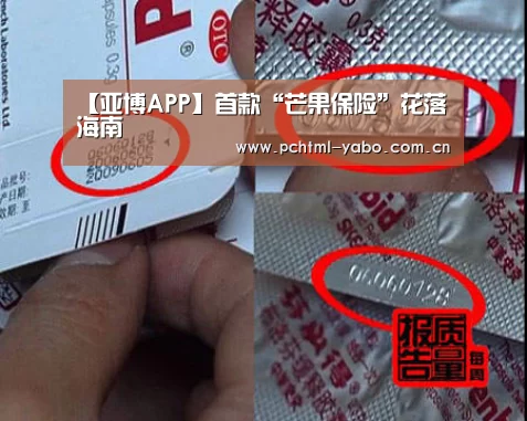 【亚博APP】首款“芒果保险”花落海南(图2) 亚博