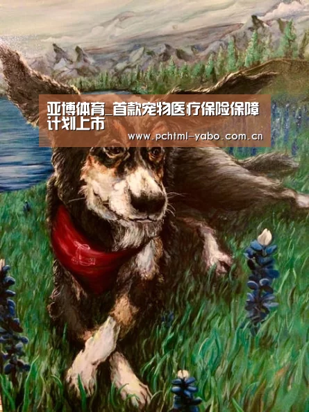 亚博娱乐