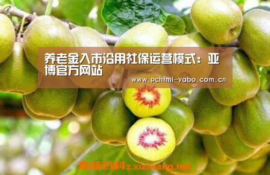养老金入市沿用社保运营模式:亚博官方网站(图2) 亚博官方网站