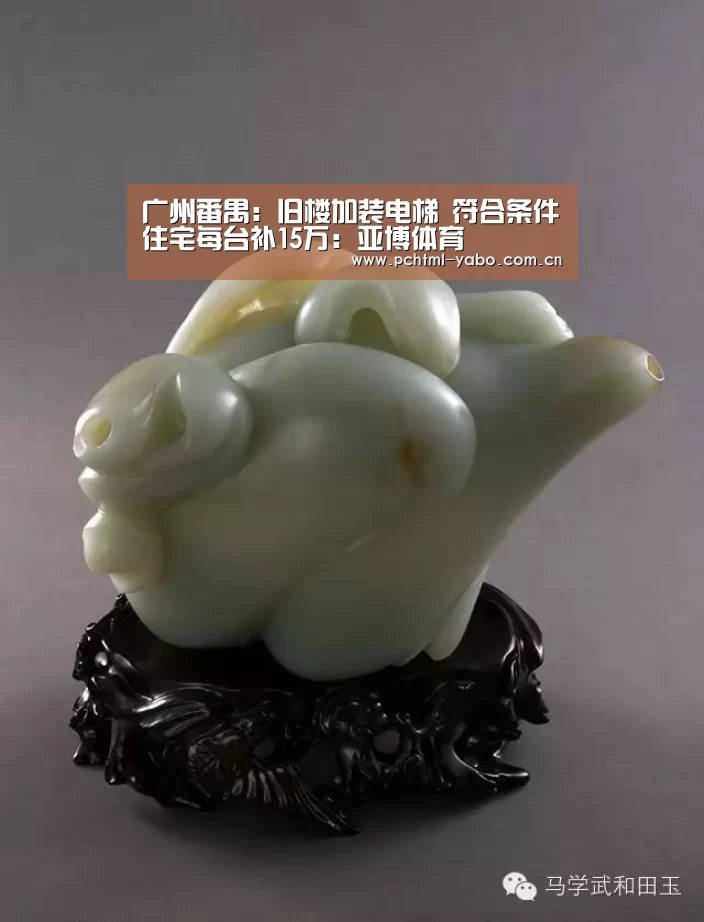 广州番禺:旧楼加装电梯 符合条件住宅每台补15万:亚博体育(图2) 亚博官方网站