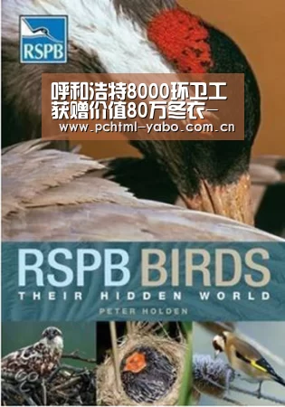 呼和浩特8000环卫工获赠价值80万冬衣-亚博APP(图3) 亚博APP