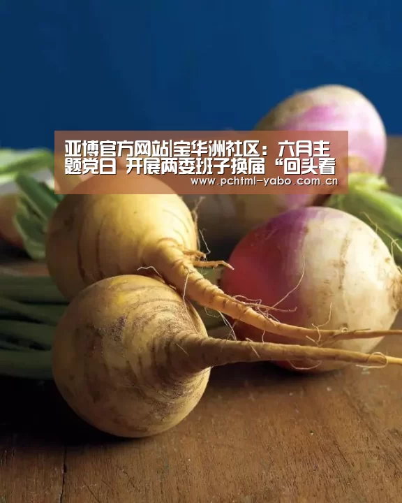亚博官方网站|宝华洲社区:六月主题党日 开展两委班子换届“回头看”活动(图3) 亚博APP