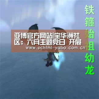 亚博官方网站|宝华洲社区:六月主题党日 开展两委班子换届“回头看”活动(图2) 亚博APP