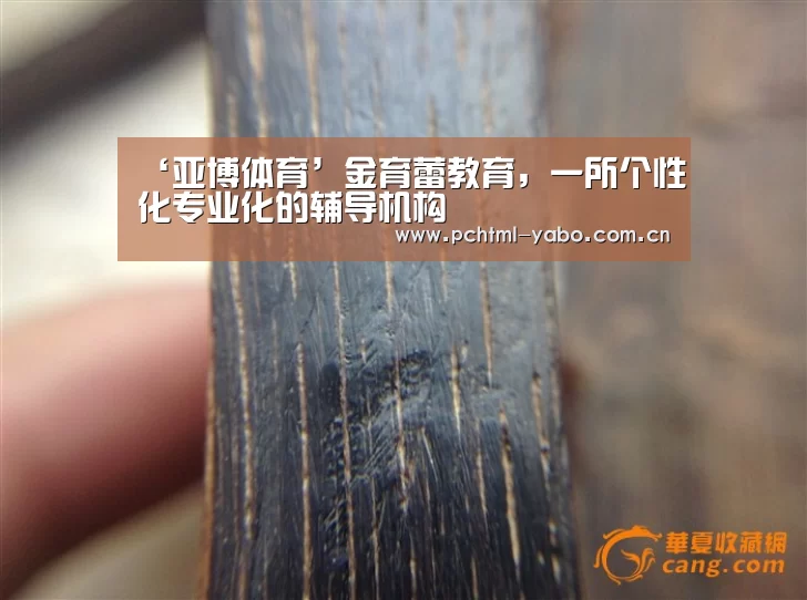 ‘亚博体育’金育蕾教育,一所个性化专业化的辅导机构(图2) 亚博