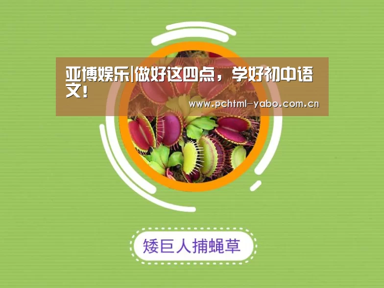 亚博娱乐|做好这四点,学好初中语文!(图1) 亚博