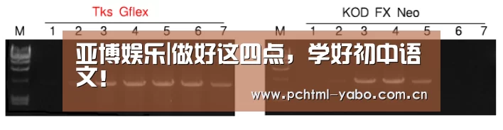 亚博娱乐|做好这四点,学好初中语文!(图2) 亚博娱乐