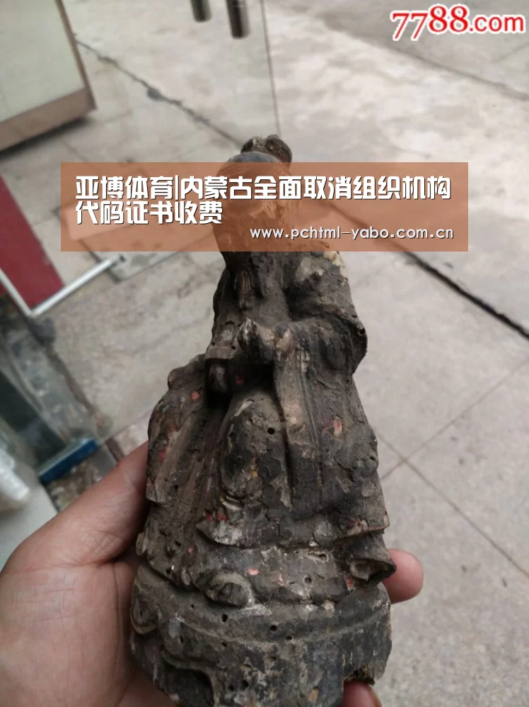 亚博体育|内蒙古全面取消组织机构代码证书收费(图3) 亚博