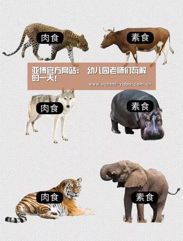 亚博官方网站