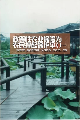亚博体育