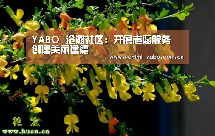 YABO-沧滩社区:开展志愿服务 创建美丽建德(图2) 亚博娱乐