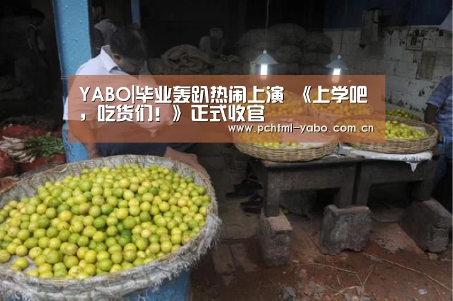 亚博官方网站